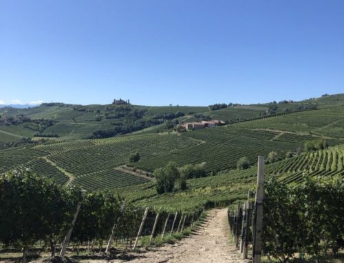 La strada del vino, itinerari per coppie ed amici, alla scoperta delle cantine, delle vigne e dei sapori