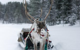 slitta natale viaggio